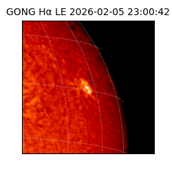 gong - 2026-02-05T23:00:42