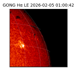 gong - 2026-02-05T01:00:42