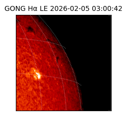 gong - 2026-02-05T03:00:42