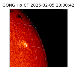 gong - 2026-02-05T13:00:42