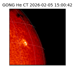 gong - 2026-02-05T15:00:42