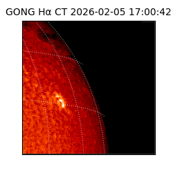 gong - 2026-02-05T17:00:42