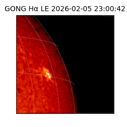 gong - 2026-02-05T23:00:42