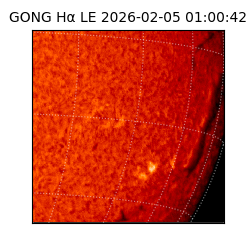 gong - 2026-02-05T01:00:42