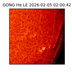 gong - 2026-02-05T02:00:42