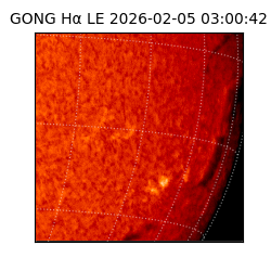 gong - 2026-02-05T03:00:42