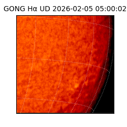 gong - 2026-02-05T05:00:02