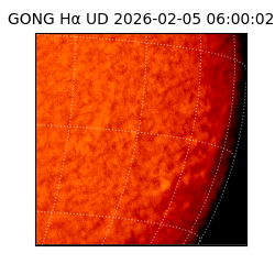 gong - 2026-02-05T06:00:02