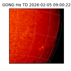 gong - 2026-02-05T09:00:22