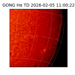 gong - 2026-02-05T11:00:22