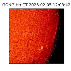 gong - 2026-02-05T12:03:42