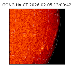 gong - 2026-02-05T13:00:42
