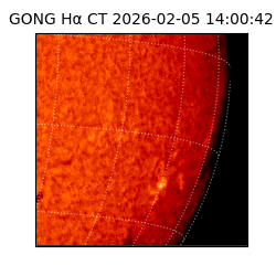 gong - 2026-02-05T14:00:42