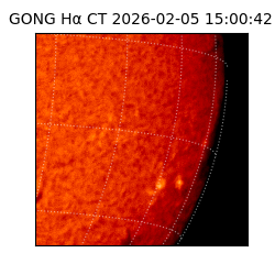 gong - 2026-02-05T15:00:42