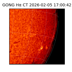 gong - 2026-02-05T17:00:42