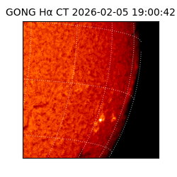gong - 2026-02-05T19:00:42