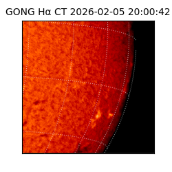gong - 2026-02-05T20:00:42