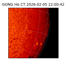 gong - 2026-02-05T22:00:42