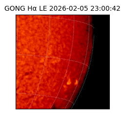 gong - 2026-02-05T23:00:42