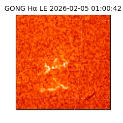 gong - 2026-02-05T01:00:42