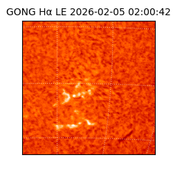 gong - 2026-02-05T02:00:42