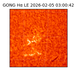 gong - 2026-02-05T03:00:42