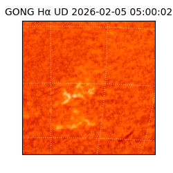 gong - 2026-02-05T05:00:02