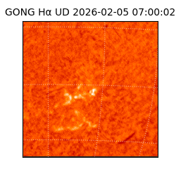 gong - 2026-02-05T07:00:02