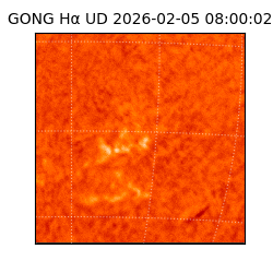 gong - 2026-02-05T08:00:02