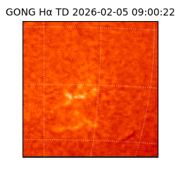 gong - 2026-02-05T09:00:22