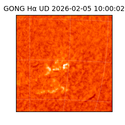 gong - 2026-02-05T10:00:02