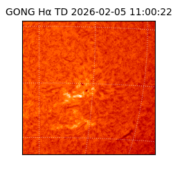 gong - 2026-02-05T11:00:22