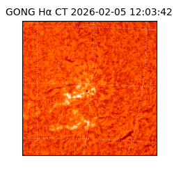 gong - 2026-02-05T12:03:42