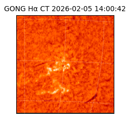 gong - 2026-02-05T14:00:42