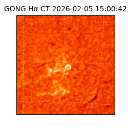 gong - 2026-02-05T15:00:42