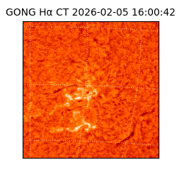 gong - 2026-02-05T16:00:42