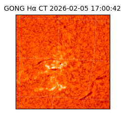 gong - 2026-02-05T17:00:42