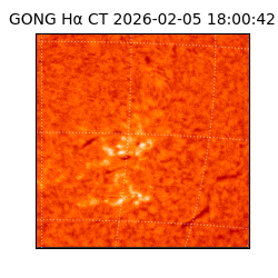 gong - 2026-02-05T18:00:42