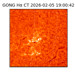 gong - 2026-02-05T19:00:42