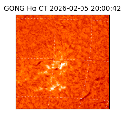 gong - 2026-02-05T20:00:42