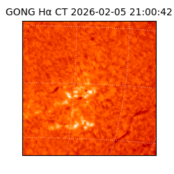 gong - 2026-02-05T21:00:42