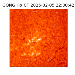 gong - 2026-02-05T22:00:42