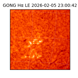 gong - 2026-02-05T23:00:42