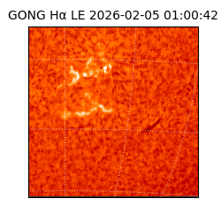 gong - 2026-02-05T01:00:42