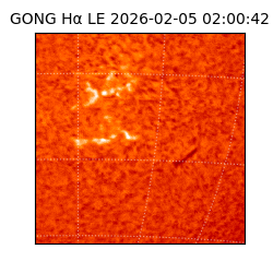 gong - 2026-02-05T02:00:42