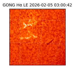 gong - 2026-02-05T03:00:42