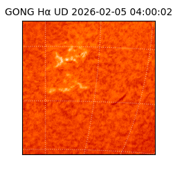 gong - 2026-02-05T04:00:02