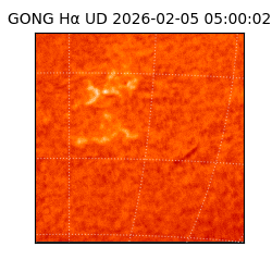 gong - 2026-02-05T05:00:02