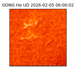 gong - 2026-02-05T06:00:02