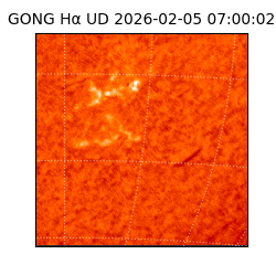 gong - 2026-02-05T07:00:02